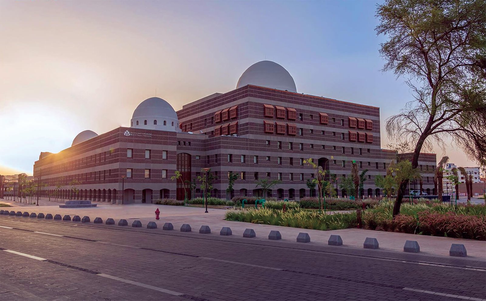 P3O Development, Implementation and Rollout