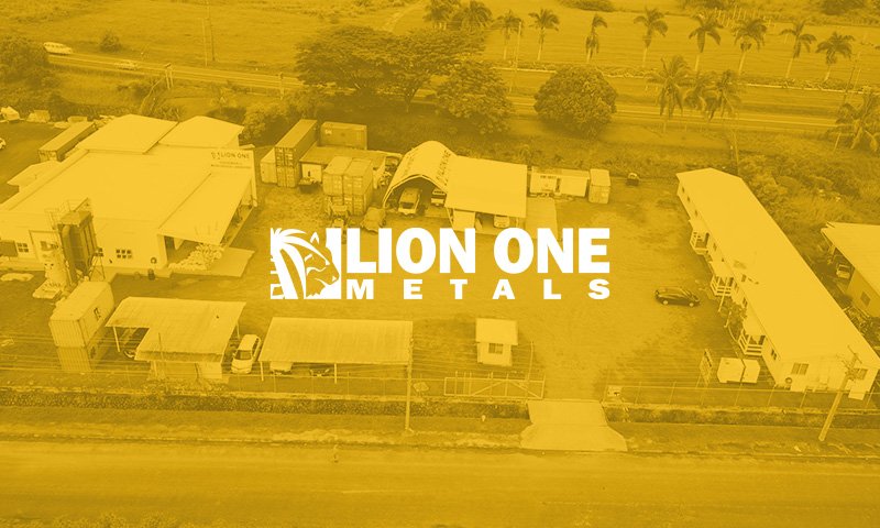 Lion One Business Management System Development